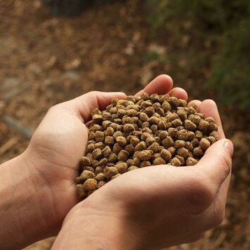 Wholesale Floating Fish Feed for Tilapia Aquaculture Whole Sale Animal Feed