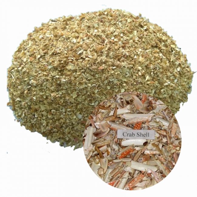 available with large quantity dried shrimp crabs shell powder