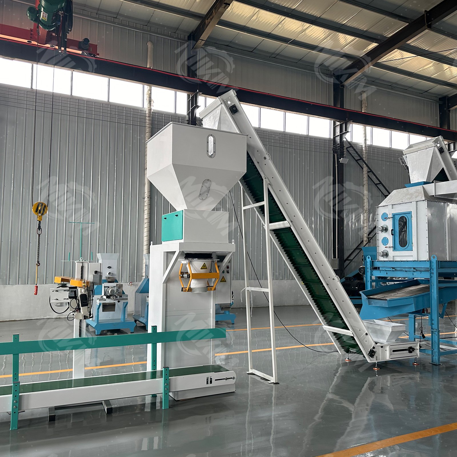 Ring Die Wood Biomass Pelletizing Animal Feed Pellet Mill Machine Of Cat Litter Granules