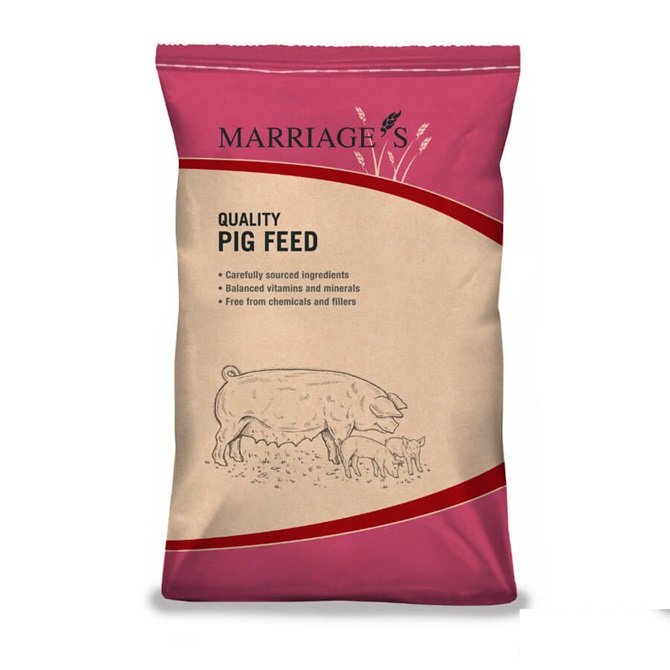 Swine Premix | Animal Feeds Premix for Growth and Nutrients
