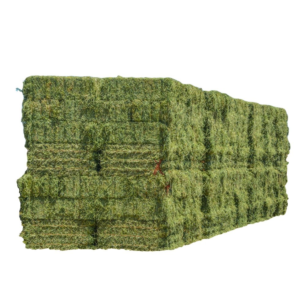 High Quality Rhodes Grass Hay from Pakistan Disease-Free Animal Feed for Pig Cattle Horse for Export