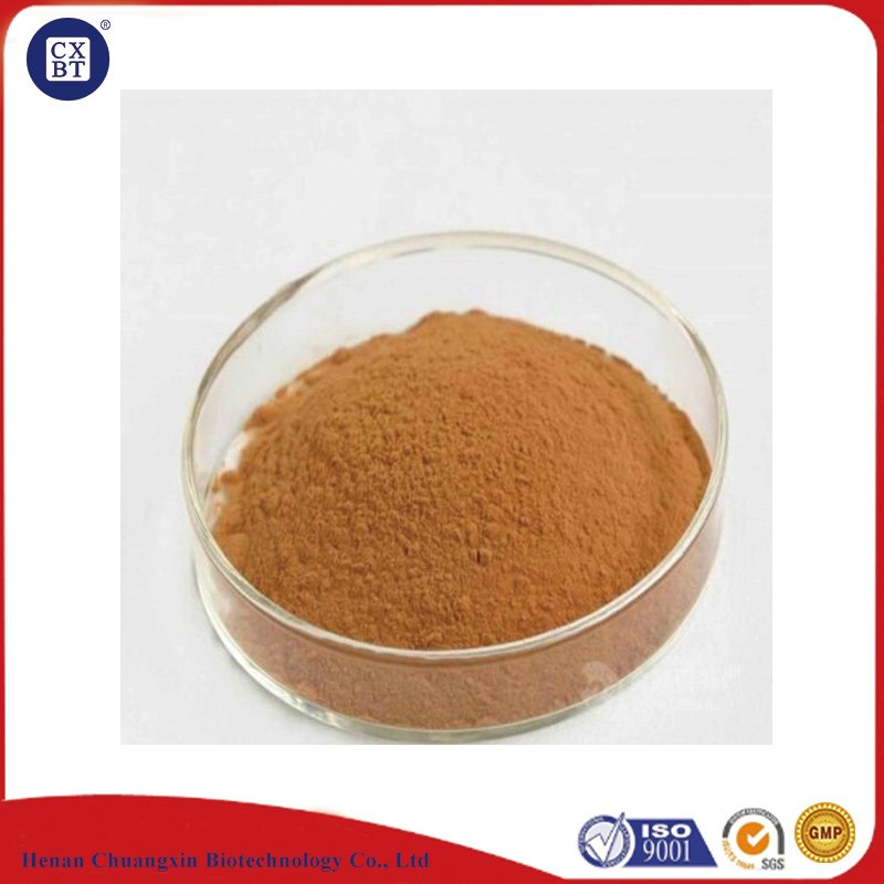 Maize DDGS Distillers Dried Grains with Solubles (Animal Feed)
