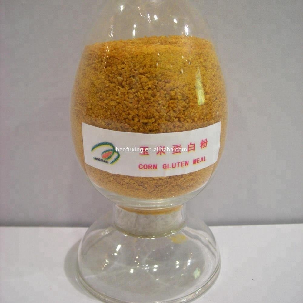 Corn gluten meal for animal feed