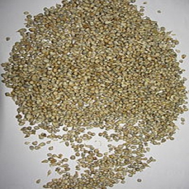 Premium Quality Bajra Green Millet for Bird and Animal Feed Imported from India