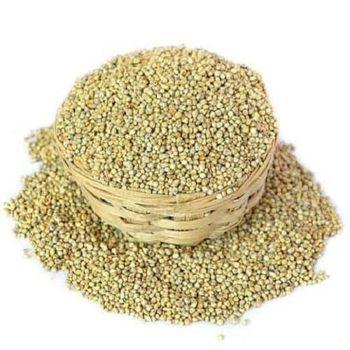 Premium Quality Bajra Green Millet for Bird and Animal Feed Imported from India