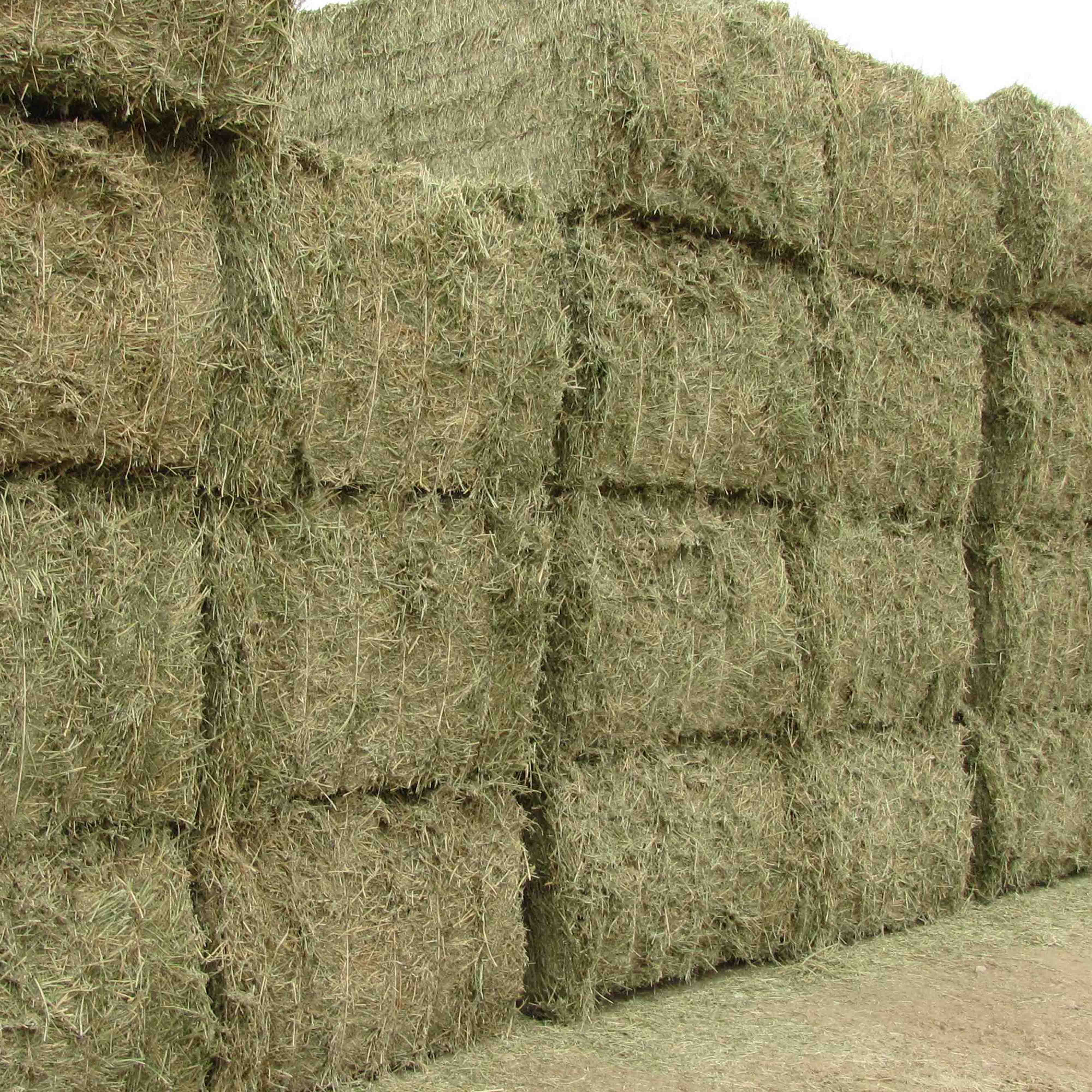 New ODM Hot Selling Timothy Hay For Animal Feed Alfalfa Wholesales Ready for Export