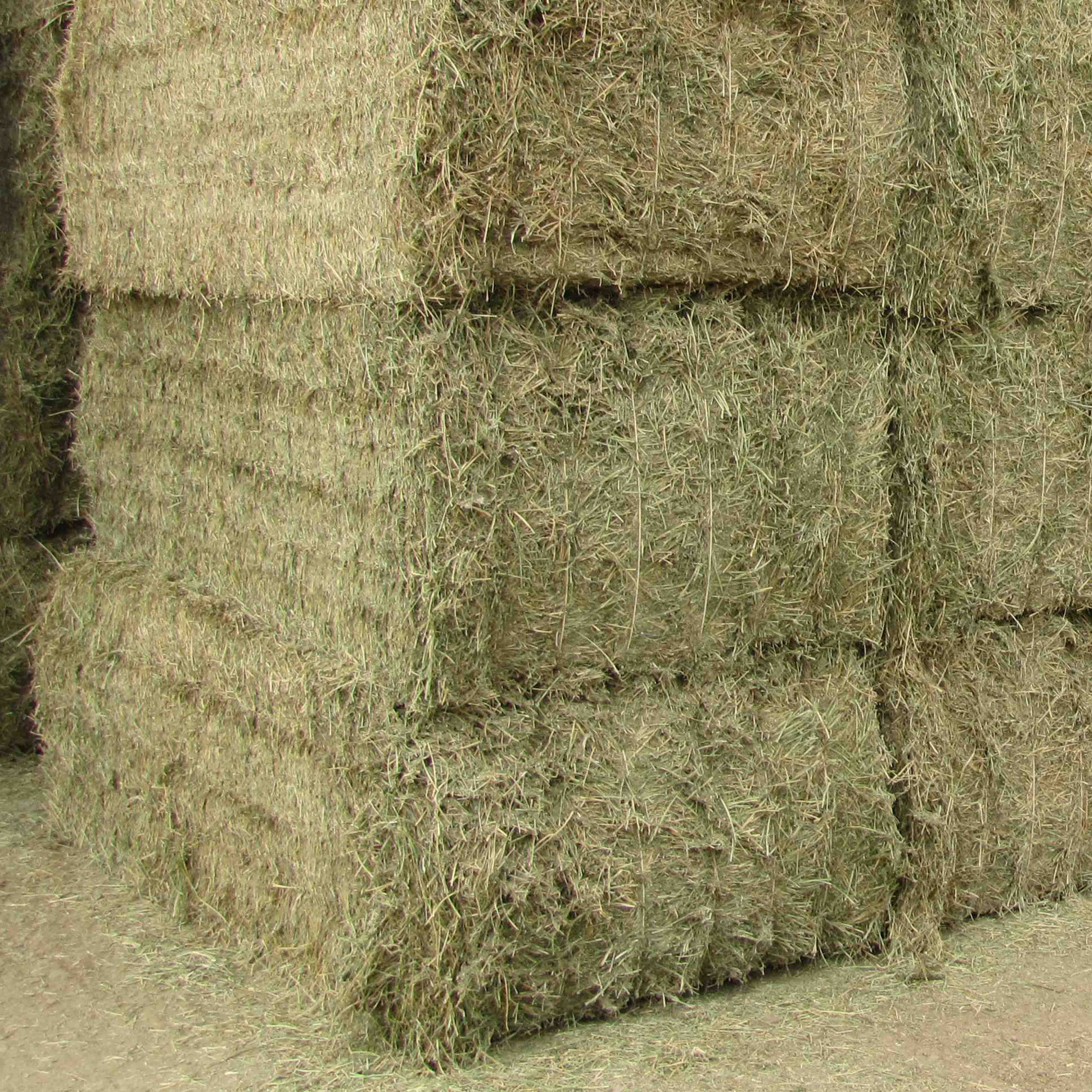 New ODM Hot Selling Timothy Hay For Animal Feed Alfalfa Wholesales Ready for Export