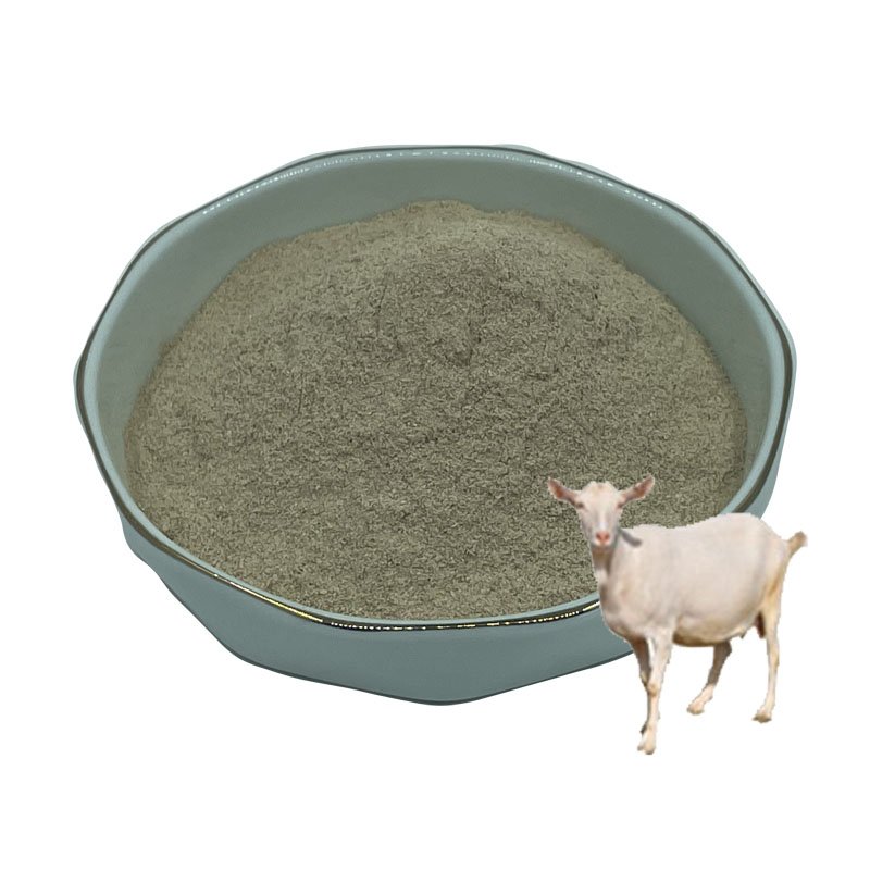 aquatic animal feed additive bacillus subtilis (ceppo qst 713) probiotic bacteria for shimp