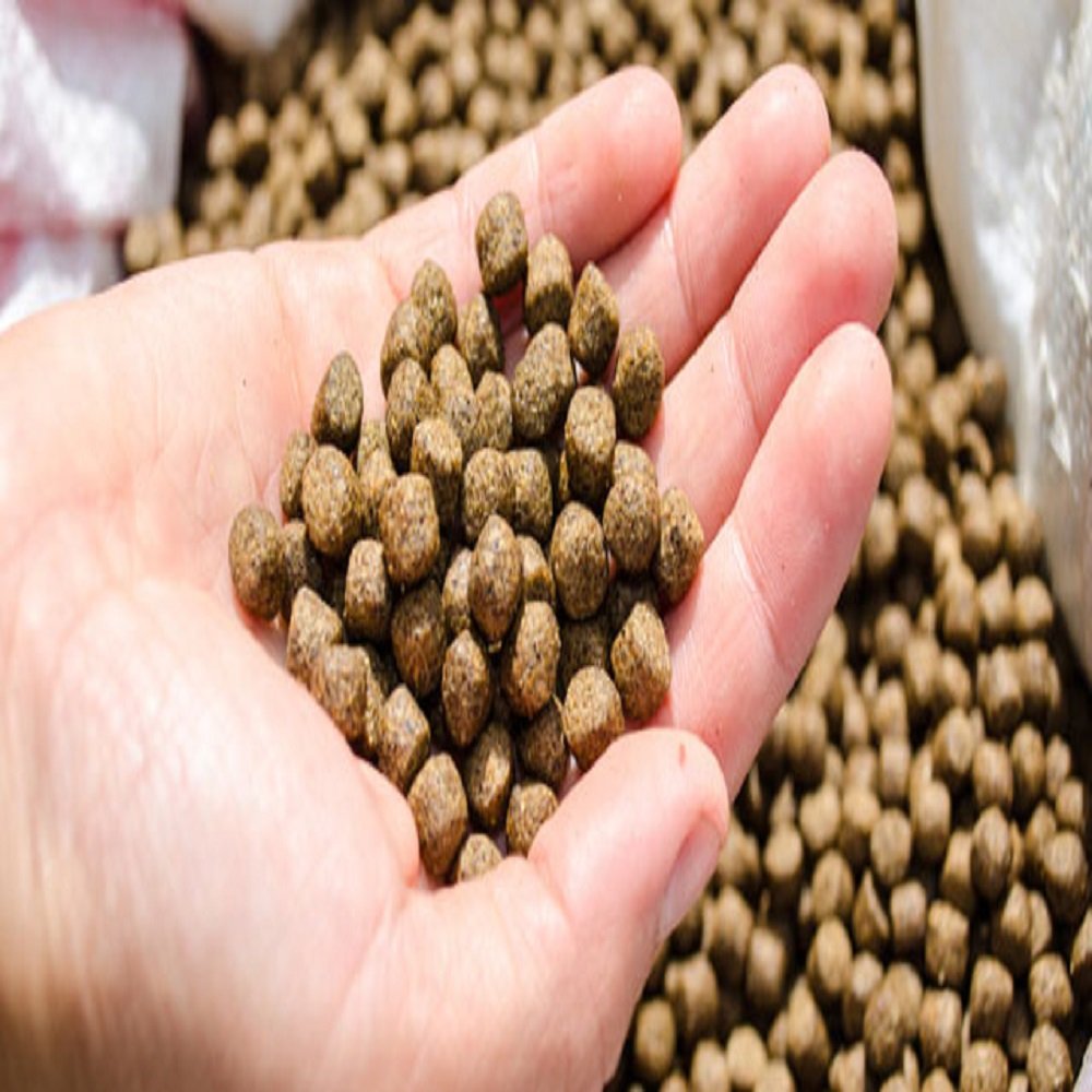 Fish Meal 65 Protein Made From Pure Fish For Animal Feed