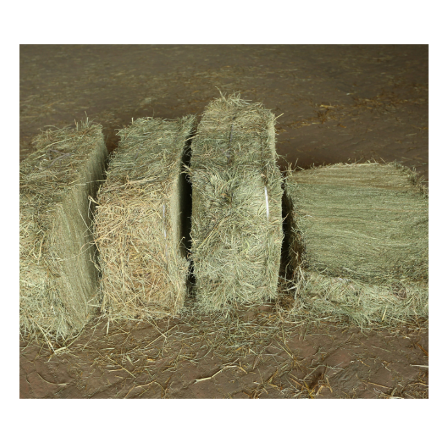 Wheat Straw Hay Animal Feed from Pakistan for Cattle Sheep Cow Horse Available for Sale