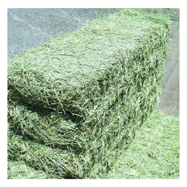 Wheat Straw Hay Animal Feed from Pakistan for Cattle Sheep Cow Horse Available for Sale