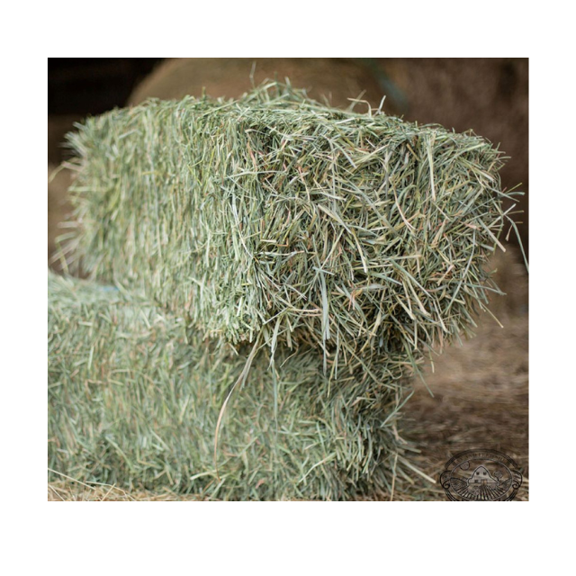 Wheat Straw Hay Animal Feed from Pakistan for Cattle Sheep Cow Horse Available for Sale
