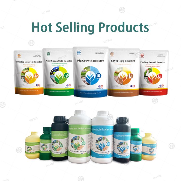 Feed Additives Premix Feed Optimal for Fatting Sheep and Cattle High Quality Animal Feed