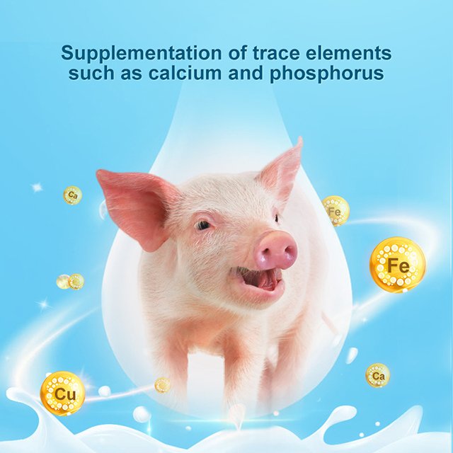 vitamins for animals chickens ducks geese pigs cattle and sheep livestock and poultry