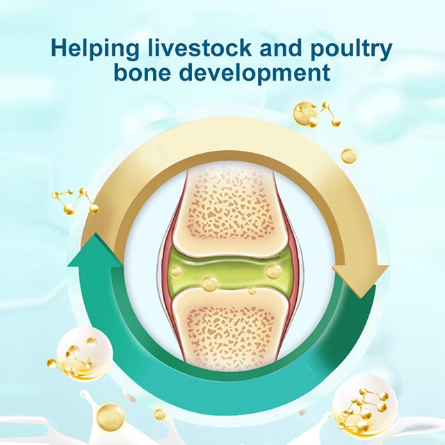 vitamins for animals chickens ducks geese pigs cattle and sheep livestock and poultry
