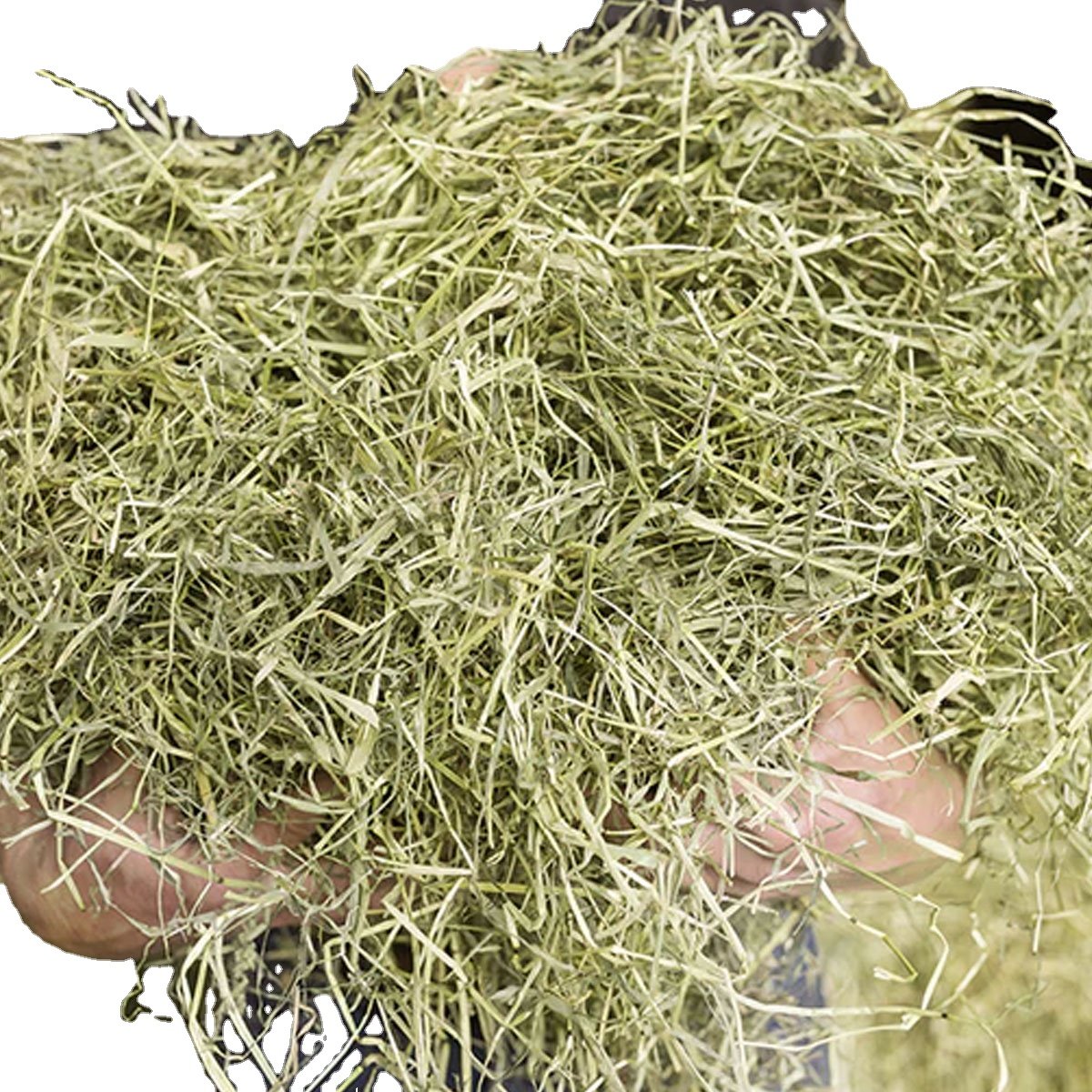 Premium Quality Alfalfa hay in bulk packaging for animal feeding with best price buy pure natural Alfalfa hay for livestock