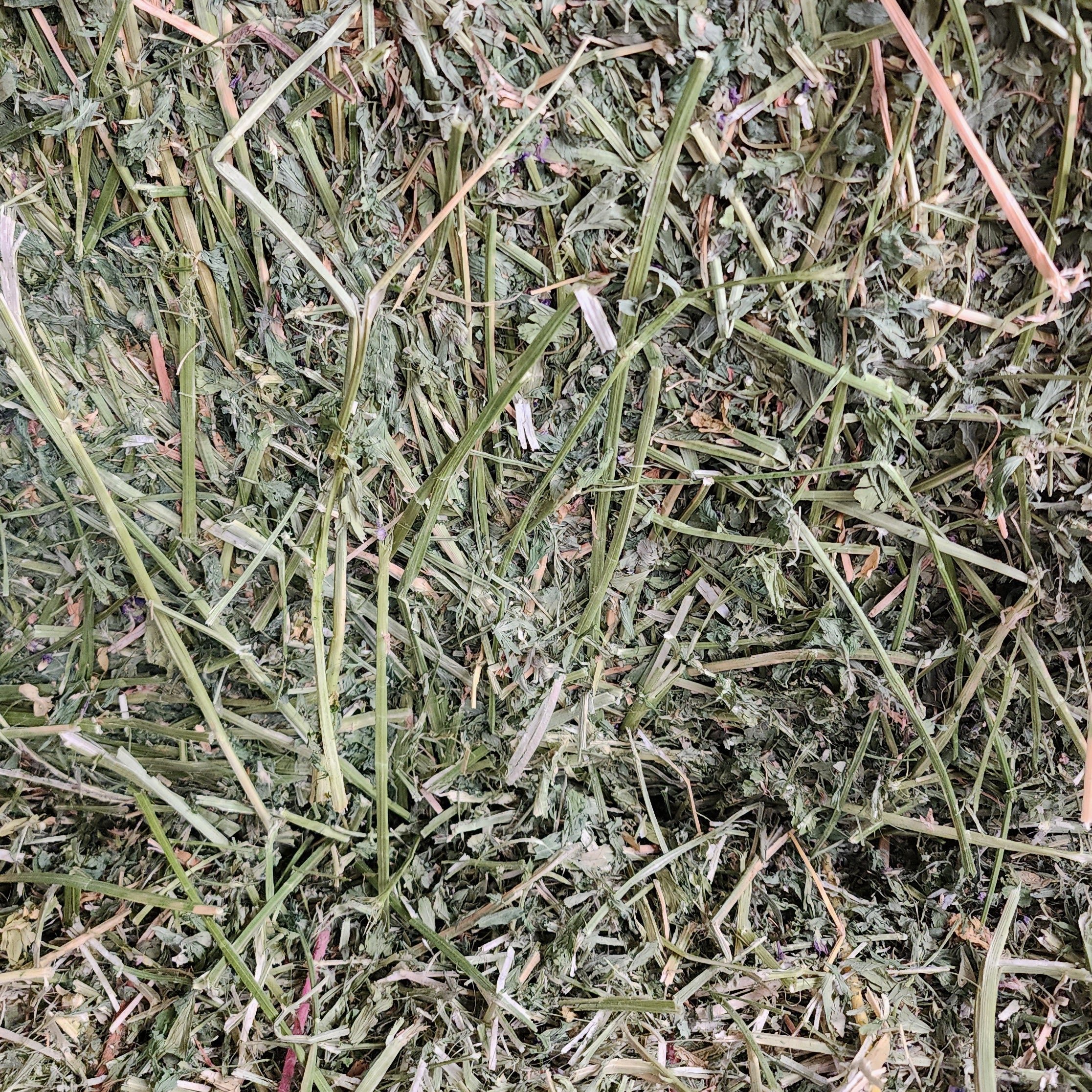 Premium Quality Alfalfa hay in bulk packaging for animal feeding with best price buy pure natural Alfalfa hay for livestock