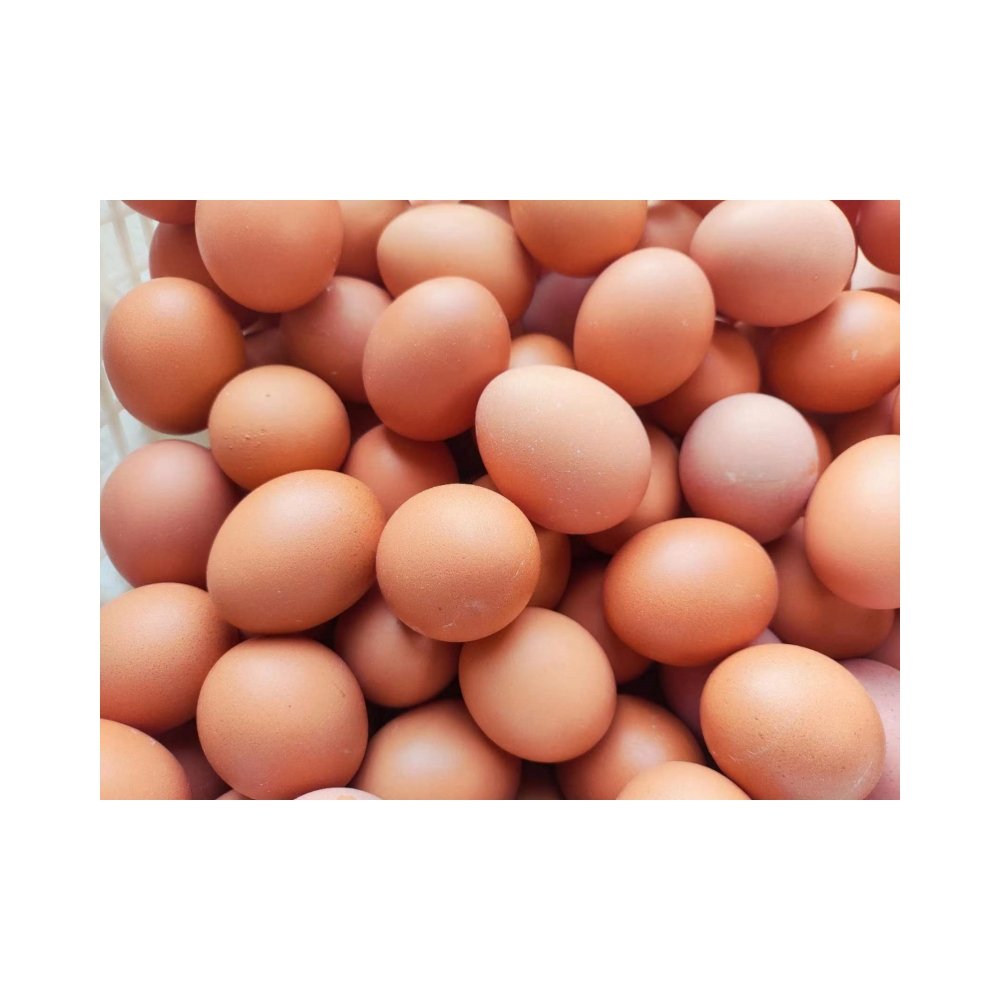 Concentrated Animal Feed Additives for Laying Hens and Poultry Premium Chicken Feed Supplement