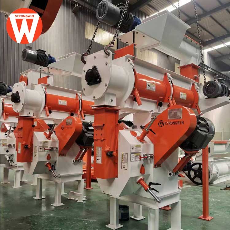 Manufacture Ring die pellets machines for animal feed chicken