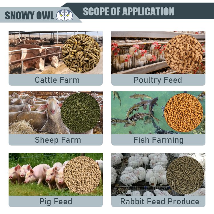Poultry and Animal Feed Pellet Mill Machine Ring Die Granulator for Poultry Farm Livestock Complete Feed Pellet Production Line