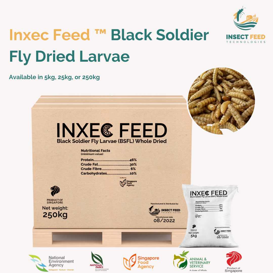 Wholesale High Protein Natural Sustainable Black Soldier Fly Dried Larvae for Animal Fish Chicken Feed Improve Health Growth