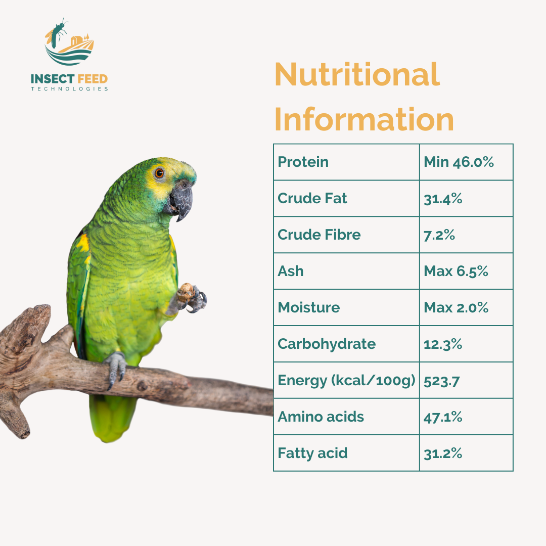Wholesale High Protein Natural Sustainable Black Soldier Fly Dried Larvae for Animal Fish Chicken Feed Improve Health Growth