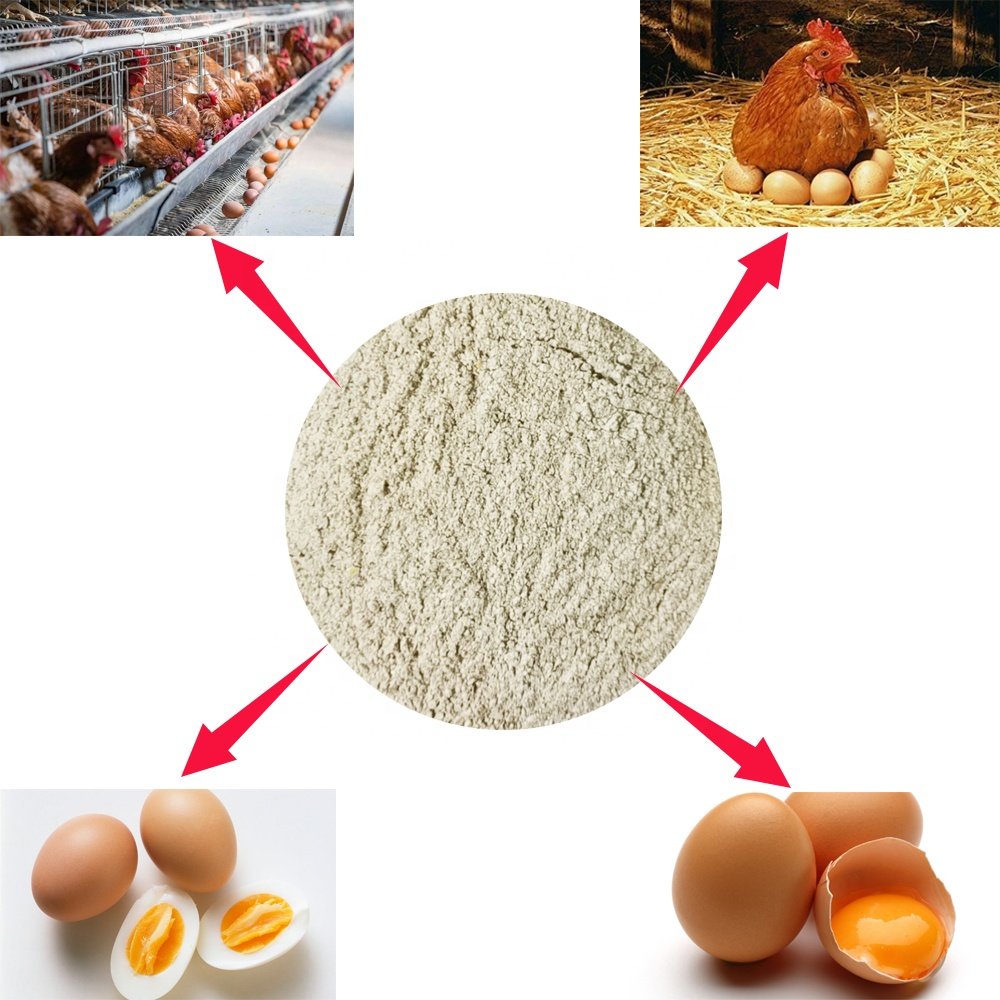 Growth promoting feed for broiler chickens premix feed for laying hens