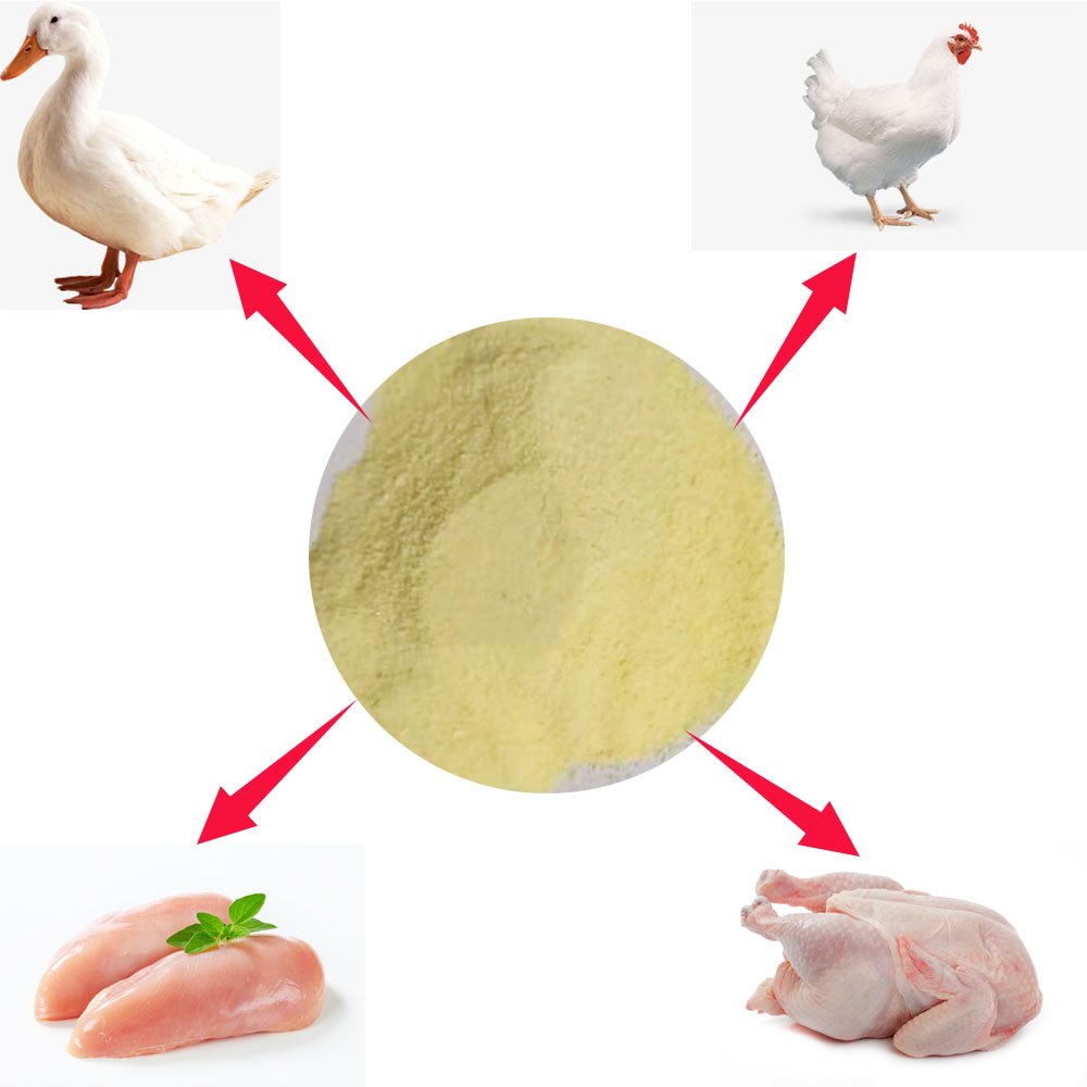 Growth promoting feed for broiler chickens premix feed for laying hens