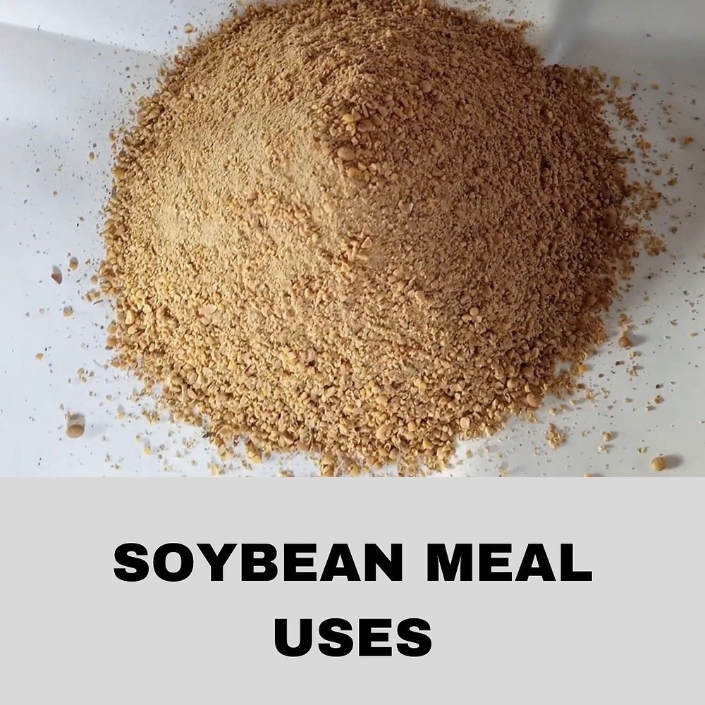 Quality Soybeans Meal for animal feed Wholesale - Bulk Soybeans Meal for animal feed in 50kg bags packaging - Soybean Meal PRICE