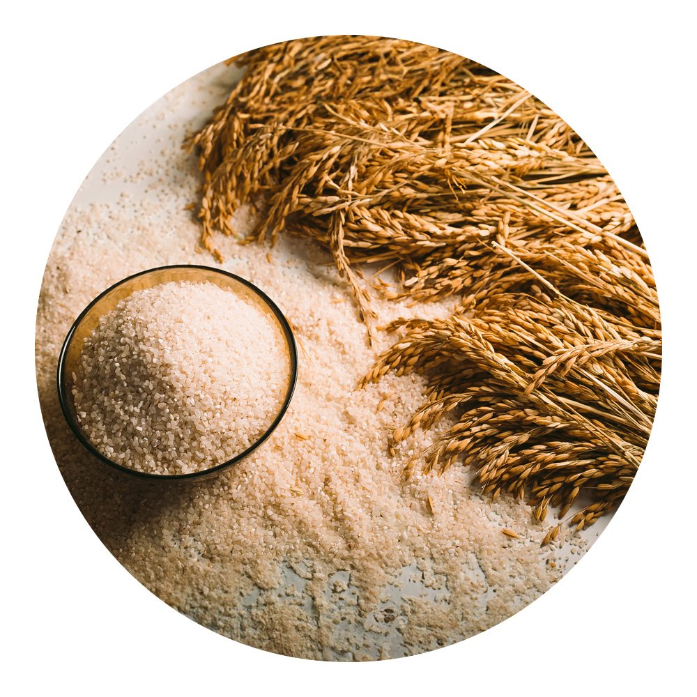New broken rice for animal feeding increase total calorie intake easy to digest wholesale low price