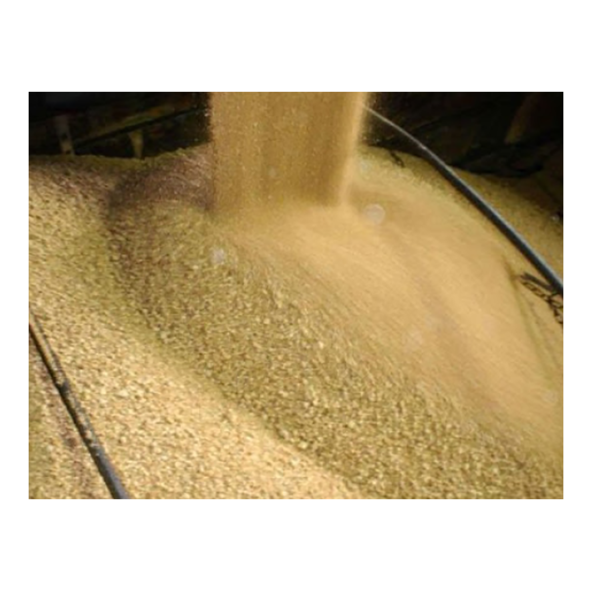 Factory Price High-Protein (47%-65%) Soybean Meal Quality Animal Feed for Cattle for Export