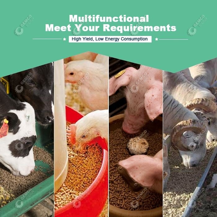 feed processing machines feed processing machines set animal feed pellet mill