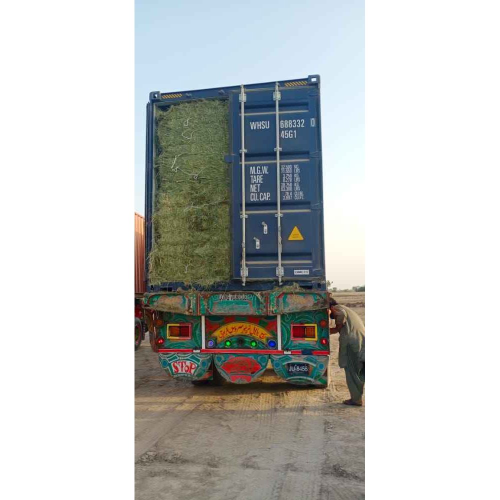Alfalfa Hay at very cheap price Quality Rhodes Grass Hay Alfalfa Animal Feed Alfafa Hay for Animal Feedin