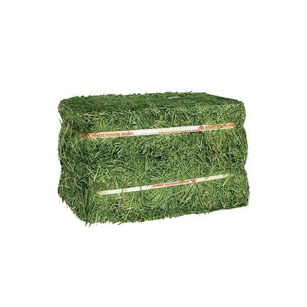 Alfalfa Hay at very cheap price Quality Rhodes Grass Hay Alfalfa Animal Feed Alfafa Hay for Animal Feedin