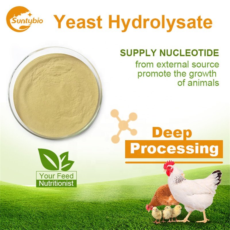 High Quality Animal Feed Protein Powder Hydrolysate Yeast Protein