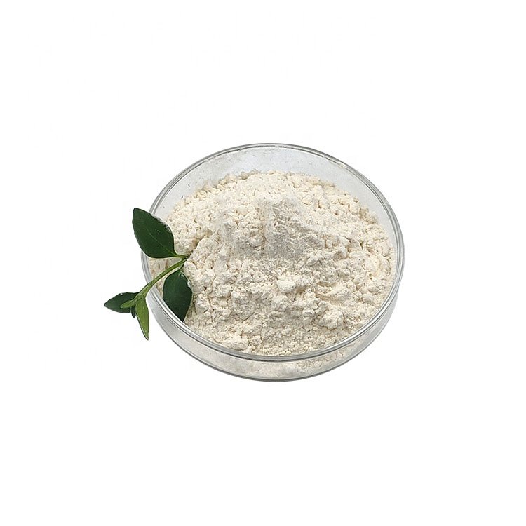 Contract Manufacturing Probiotics for Food,Animal feed Dietary Supplement Pharmaceutical