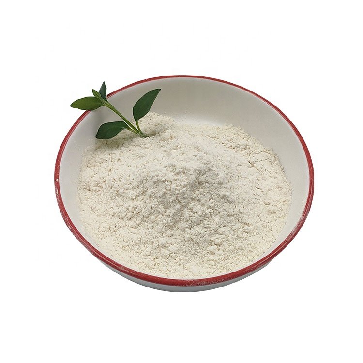 Contract Manufacturing Probiotics for Food,Animal feed Dietary Supplement Pharmaceutical
