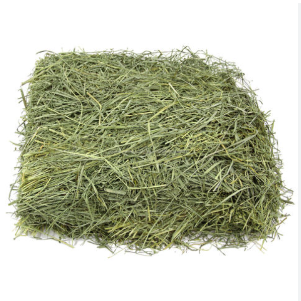 2024 Buy Top Quality Alfafa Hay for Animal Feeding Stuff Alfalfa / Timothy / Alfalfa Hay for Sale