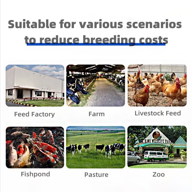 Household small chicken duck fish feed pellet machine large pelletizer machine for animal feed