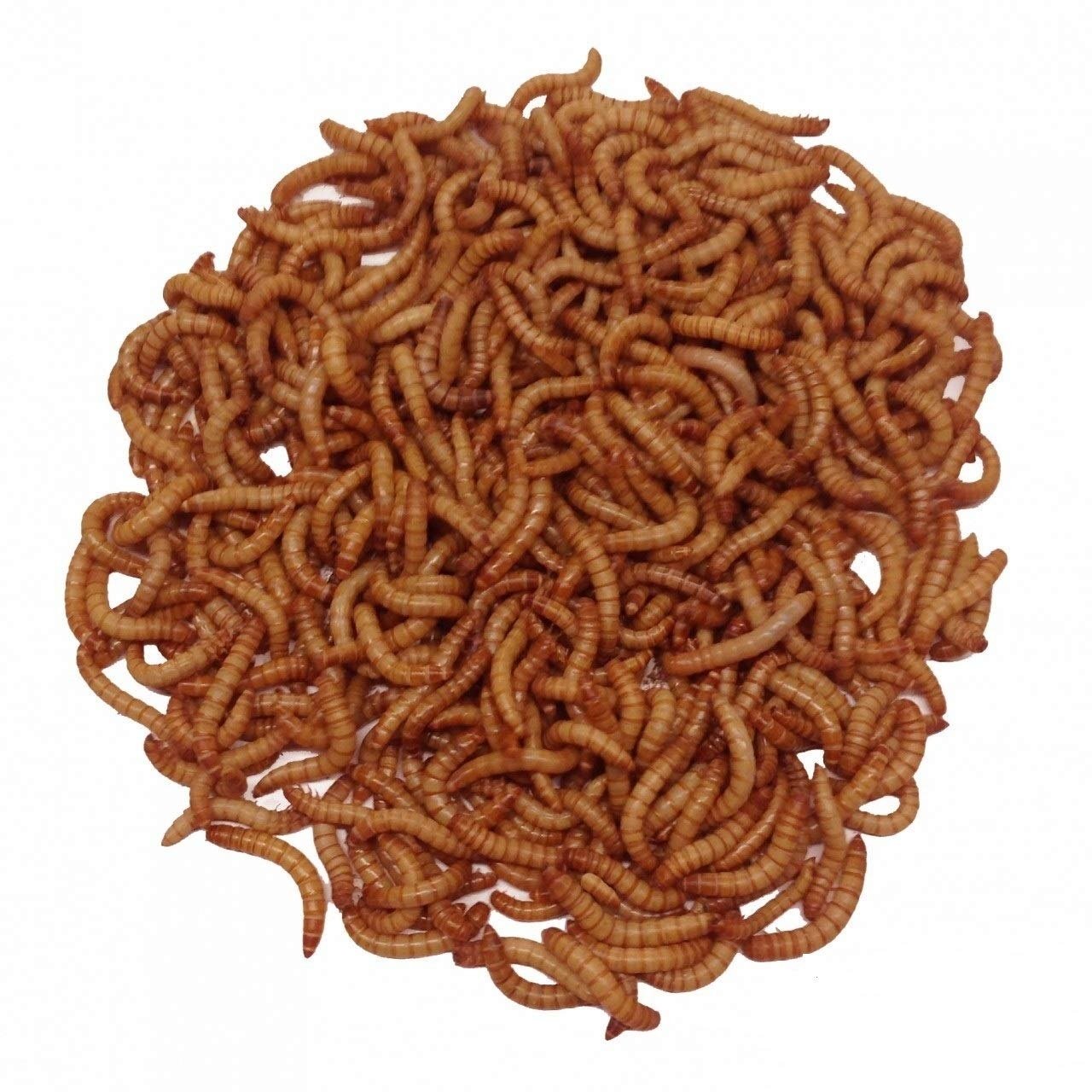 Best Quality High Protein Dried Mealworm Use For Animal Feed Chicken Feed And Pet Food