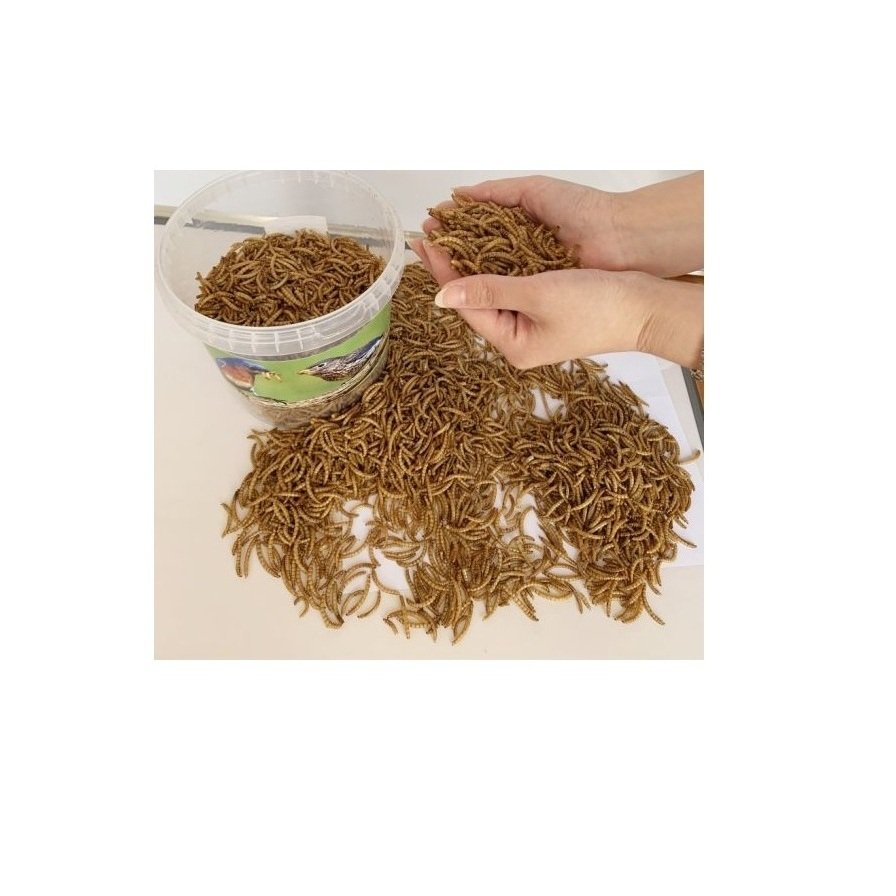 Best Quality High Protein Dried Mealworm Use For Animal Feed Chicken Feed And Pet Food