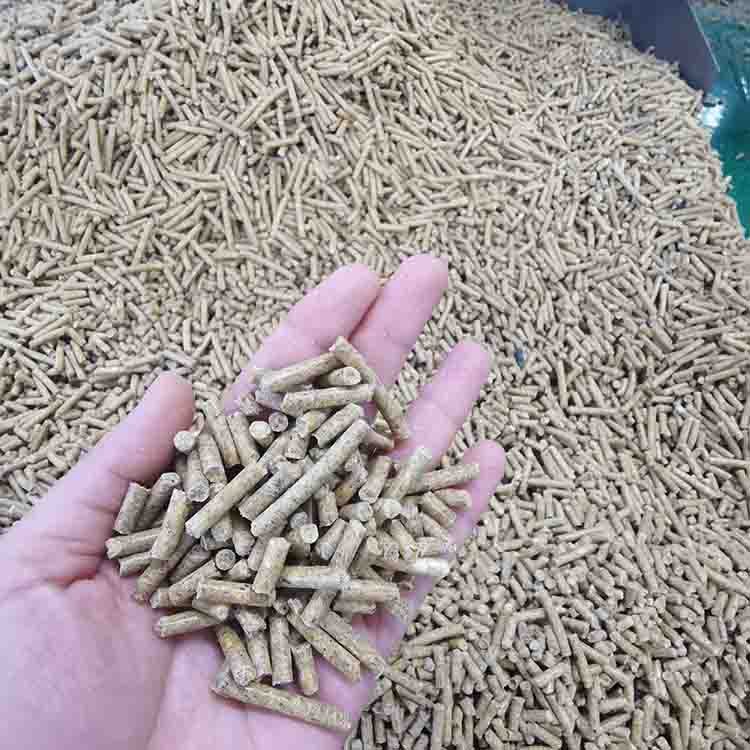 LIMA Ring Die Granulator Machine Pelletizing Production Line 55kw 5ton/H Feed Pellet Mill For Animal Feed Extruder Price