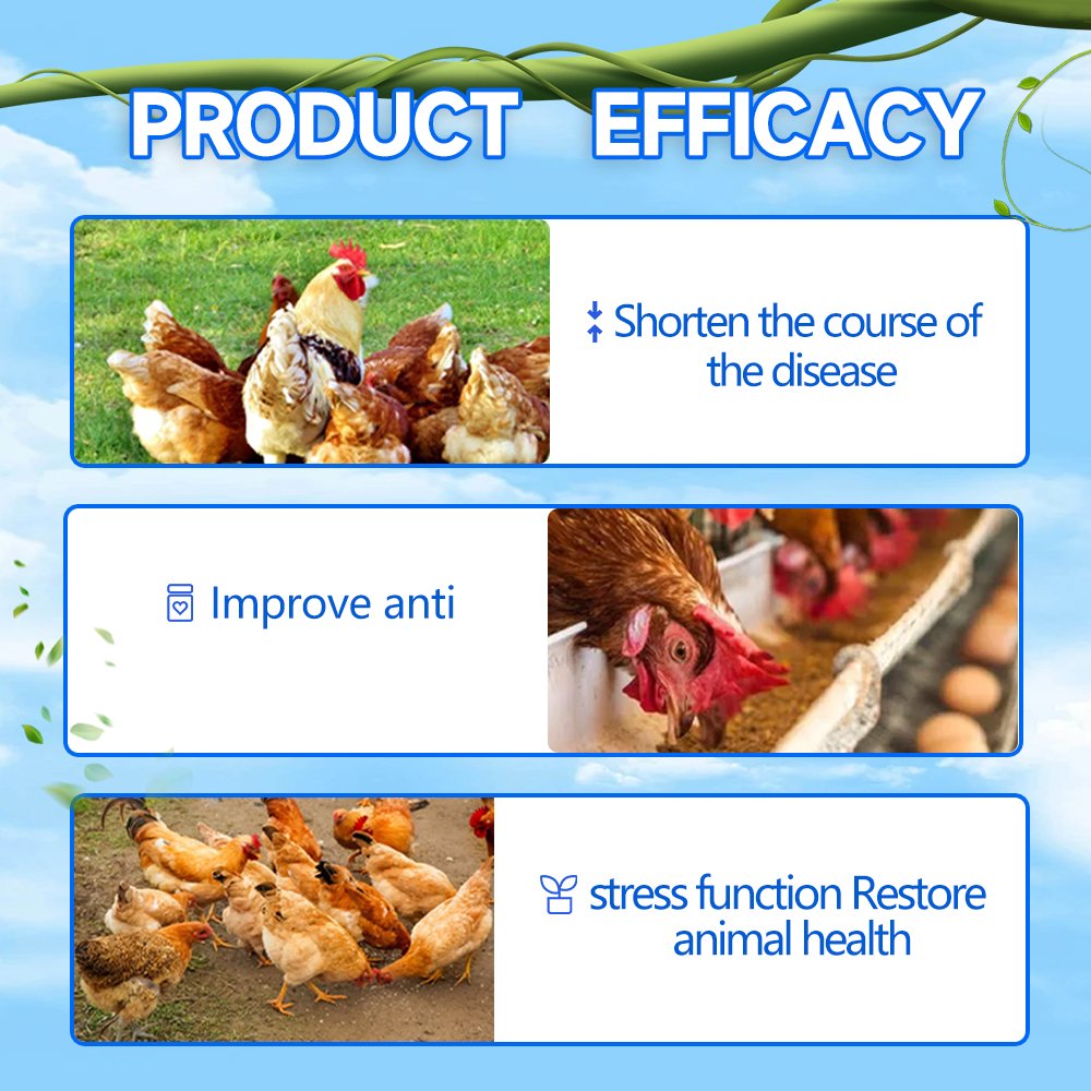 From indonesia thailand supplier buy flavour amino acids for animals feed grade amino acids fee layer animal feed
