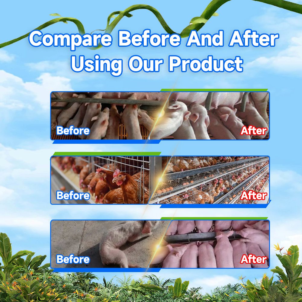 From indonesia thailand supplier buy flavour amino acids for animals feed grade amino acids fee layer animal feed