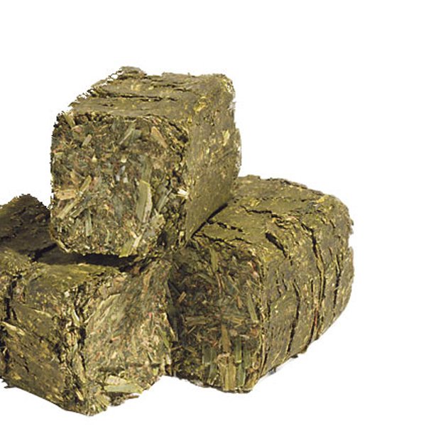 Wholesale High Quality Turkish Alfalfa Hay and Oats Animal Feed for Cattle Cow Pig Horse Food Use at Competitive Prices