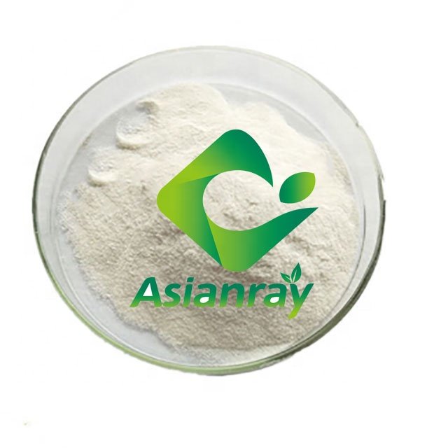 animal feed additives bacillus subtilis High quality feed additive for aquaculture probiotics Bacillus subtilis