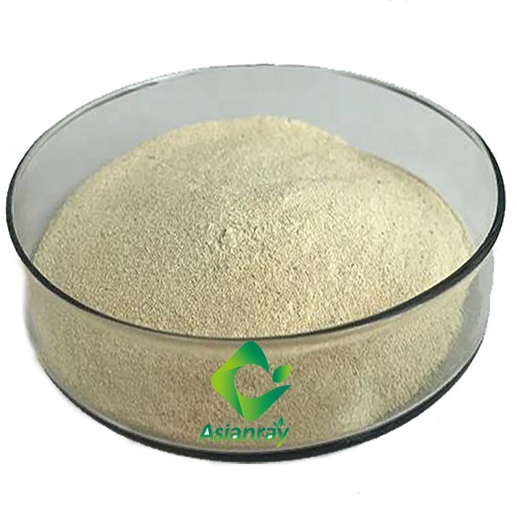 animal feed additives bacillus subtilis High quality feed additive for aquaculture probiotics Bacillus subtilis
