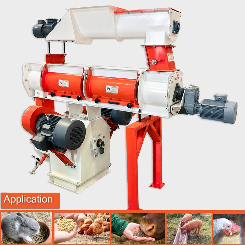 Ring die poultry feed pellet press machine