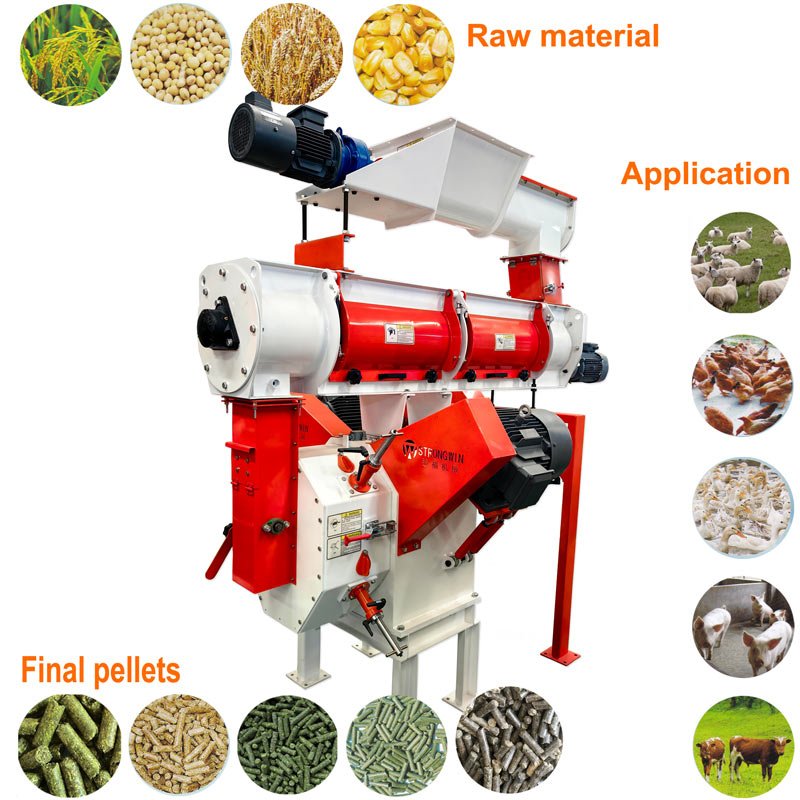 Ring die poultry feed pellet press machine