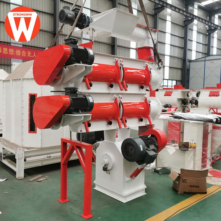 Ring die poultry feed pellet press machine
